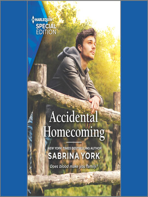 cover image of Accidental Homecoming